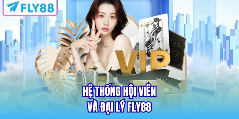 Hệ thống hội viên và đại lý tại FLY88